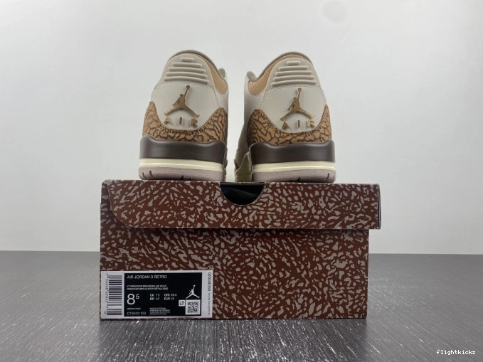 CT8532-102 3 Palomino Jordan Air 1010
